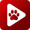 糖心v1.0.3免费破解版安装经指破解版